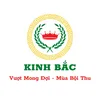 kinhbacchinhhang22