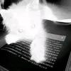arsxgod