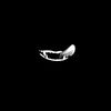 el_diavlo_vivo_66617
