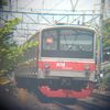 alip19842
