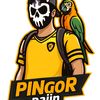 pingor7