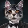 katze446