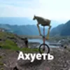 user17430919956004