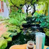 thanhphong17vip