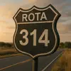 rota.314