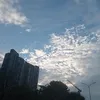 khoa030710