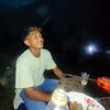 bunglonn.dopel