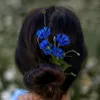 nadiia7657