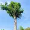 Mộc Audio