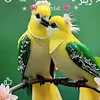 thu.hng0993