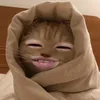 hyenxinhgais