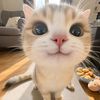 yukaa_kazehayaa