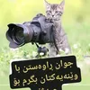 ahmad5588gmail.com