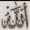 user865242686102