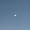 noname_81928