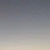 d0b19