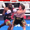 tankdavis56