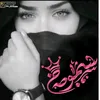 sh__k313