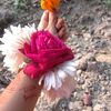 user12345678910tisha