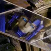 bumblebee_op8