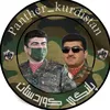 panther _kurdistan