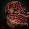user8408613323178