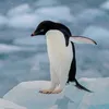 rickyy0546
