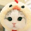 hanina8636