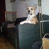 luc.demon.rutten