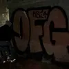 wezeer8