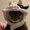 raica_roaido