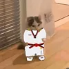 chui.tkd