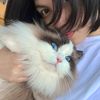 nunna_cat25
