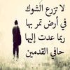 alamahmed568