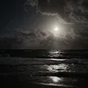 diddylover43