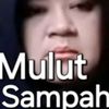 msyaf66