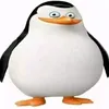 ms_brux1