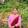 pamfa.khamcha1