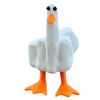 zaroduck