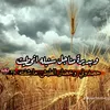 user8041944686776