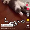 kamuikamuikamuikamuikam5