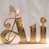aliramzan4084