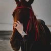 moonz_24m