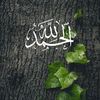ali.mans32
