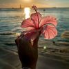 hayleigh_25