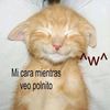 el.de.los.estereo