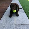 bea_benassi3