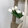 zal_668