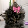 salmaa_2022