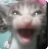 gatoconhelado